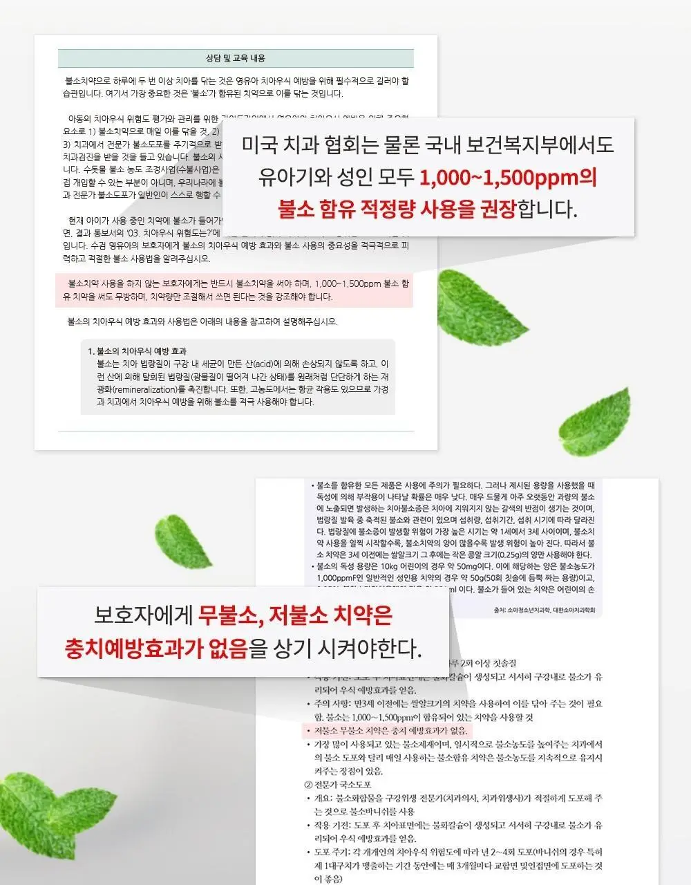 [고불소/단독] 콜게이트 프로텍션 쿨민트 100g 3+1 기획 상세페이지 8